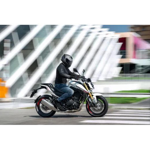 MORBIDELLI M 502N