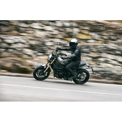 BENELLI LEONCINO 800