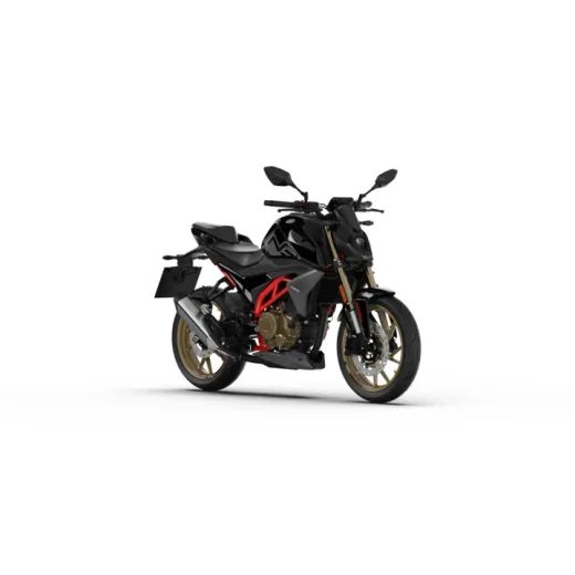 MORBIDELLI N 300