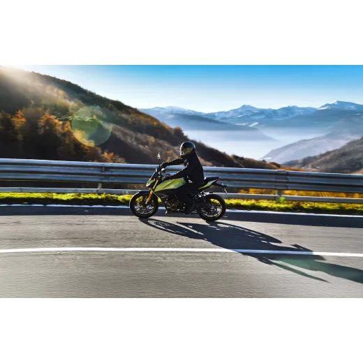 MORBIDELLI N 300