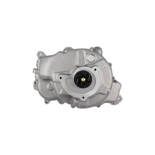 WATER PUMP RMS 100110750