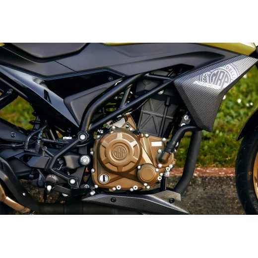 MORBIDELLI N 300