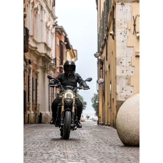 BENELLI LEONCINO 800