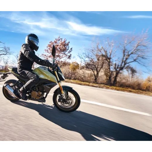 MORBIDELLI N 300