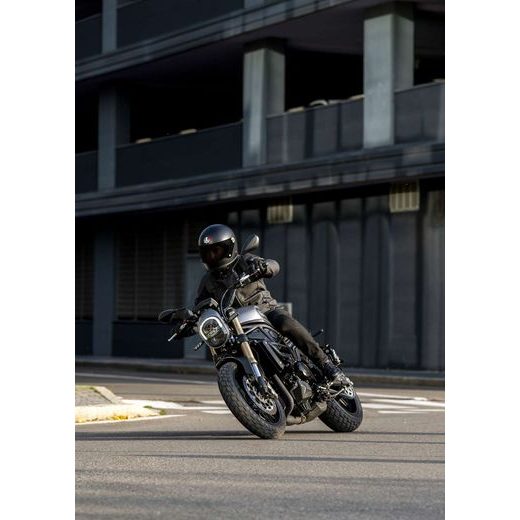 BENELLI LEONCINO 800