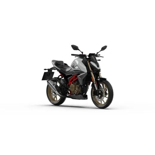 MORBIDELLI N 300