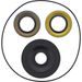DIFFERENTIAL SEAL KIT ALL BALLS RACING DB25-2150-5
