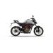 MORBIDELLI N 300