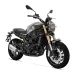 BENELLI LEONCINO 800