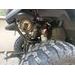 LONCIN XWOLF 1000I V TWIN EPS 4X4