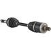 OSA ALL BALLS RACING AB6-CA-8-341 6 KULIČEK