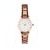Aneirin Rose Gold