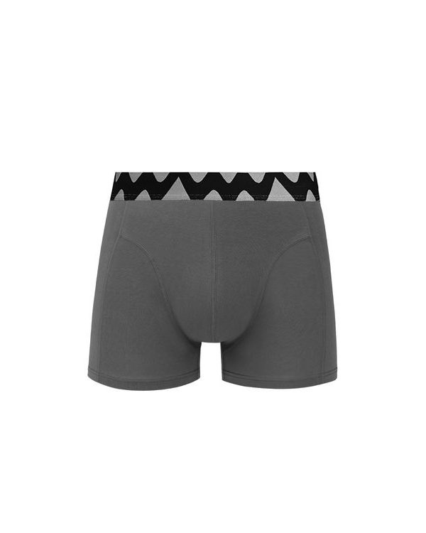 Evans Grey