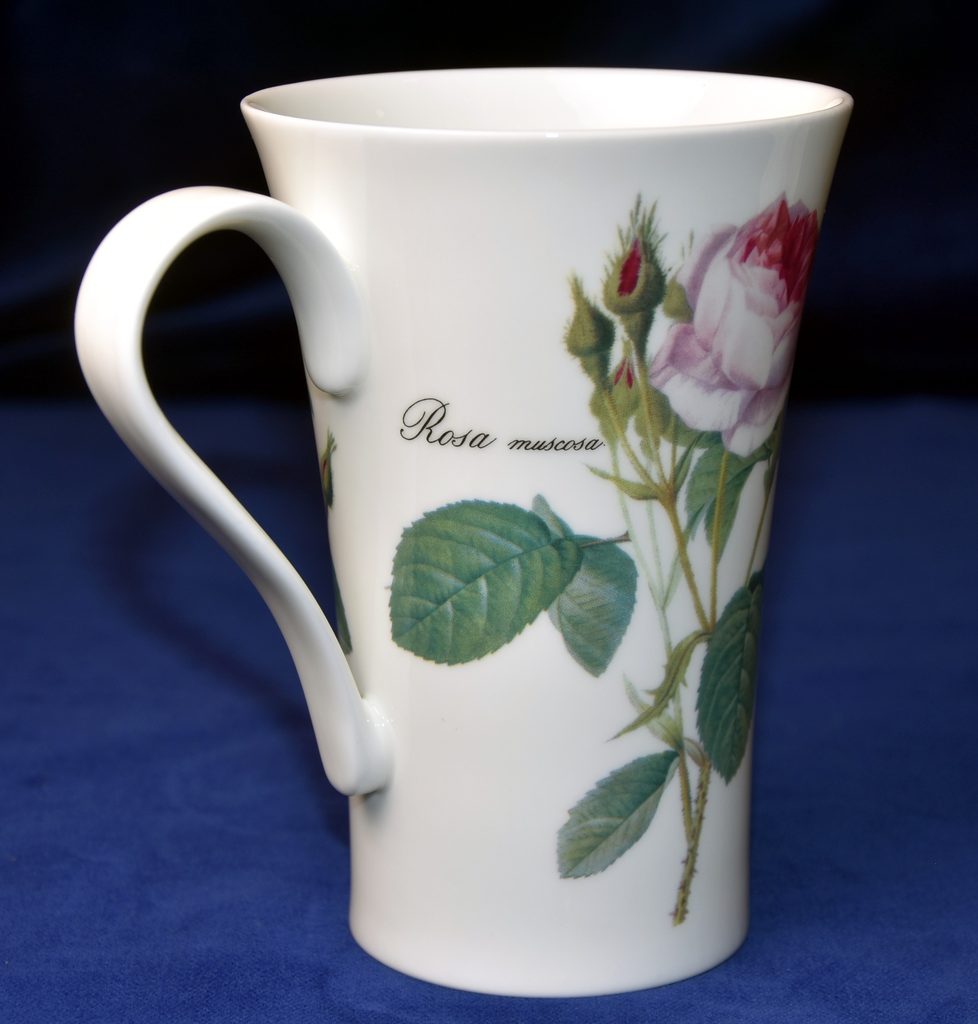 Roy Kirkham BONE CHINA Floral Coffee Mug Tea Cup Silky Oaks Lodge Flowers Leaf 