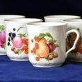 Mug Karel 0,27 l, 6 pcs., fruits, Cesky porcelan a.s.
