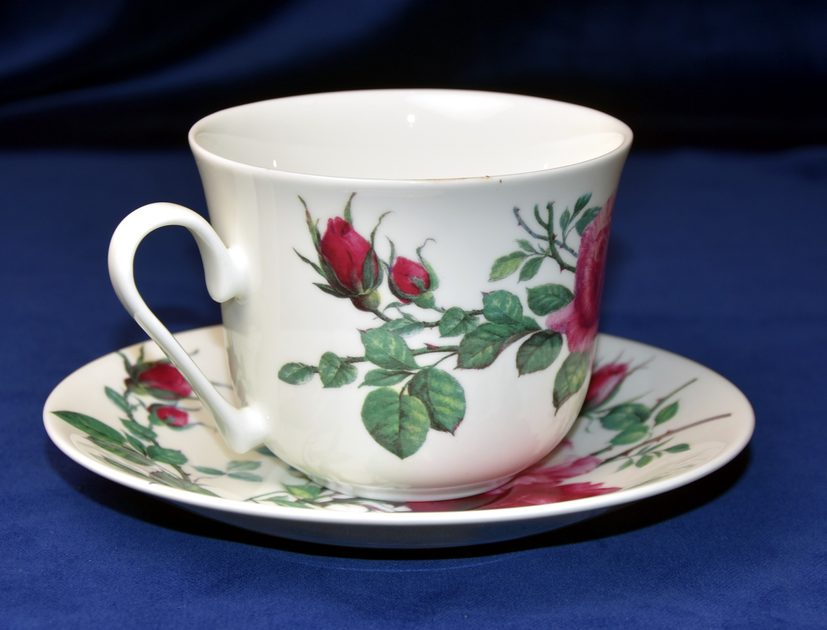 Roy Kirkham Roy Kirkham Breakfast Cup And Saucer 'Agapanthus' Large Cup & Saucer 