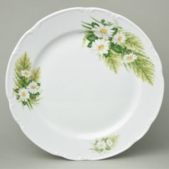 Club plate 30 cm, Thun 1794, karlovarský porcelán, CONSTANCE 80262 daisy