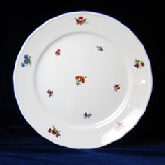 Plate dining 26 cm, Hazenka blue line, Cesky porcelan a.s.