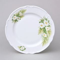 Talíř mělký 24 cm, Thun 1794, karlovarský porcelán, CONSTANCE 80262 kopretiny