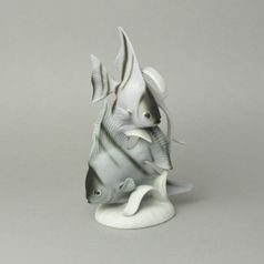 RYBY Skaláry 15,5 x 9,5 x 25,5 cm, Pastel, Porcelánové figurky Duchcov