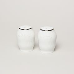 Salt and pepper shakers, Thun 1794 Carlsbad porcelain, BERNADOTTE frost, Platinum line