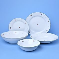 Dinner set for 6 pers. 25 pcs., Verona red flowers + green, G. Benedikt 1882