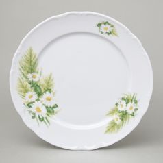 Plate dining 26 cm, Thun 1794, karlovarský porcelán, CONSTANCE Daisy