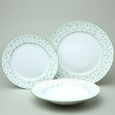 Plate set 12 pcs. for 4 pers. Thun 1794, karlovarský porcelán, Natálie green flowers