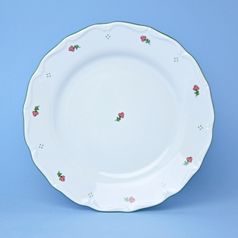 Plate dining 25 cm, Verona Q0072, G. Benedikt 1882