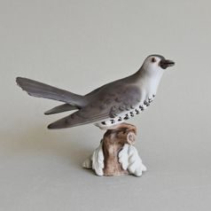 Cuckoo 22 x 10 x 15 cm, Porcelain Figures Duchcov