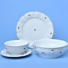 Dinner set 13 pcs., red flowers + green, G. Benedikt 1882