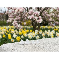 Náhrdelník: Duté kolečko 38 mm, Kvetoucí kaktus, černá pryž, Porcelánové šperky Ateliér Mallys