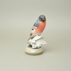 Bullfinch bird 12,5 x 10,5 x 19,5 cm, Porcelain Figures Duchcov