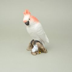Papoušek 18 cm, pastel, Porcelánové figurky Duchcov