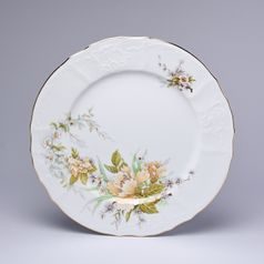 Talíř mělký 25 cm, Thun 1794, karlovarský porcelán, BERNADOTTE 023011