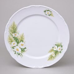 Plate dining 26 cm, Thun 1794, karlovarský porcelán, CONSTANCE Daisy