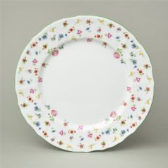 Plate dinner 25 cm, Thun 1794, karlovarský porcelán, BERNADOTTE 7570A57