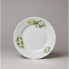 Talíř dezertní 17 cm, Thun 1794, karlovarský porcelán, CONSTANCE 80262 kopretiny