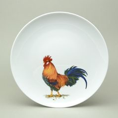KOHOUT: Talíř mělký ELEGANCE 27 cm, Thun 1794 a.s.