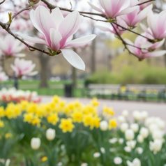 Earrings: Blue Hearts, Porcelain Jewels Studio Mallys
