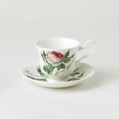 Redoute Rose: Cup Anne 230 ml + saucer 145 mm, Roy Kirkham fine bone china