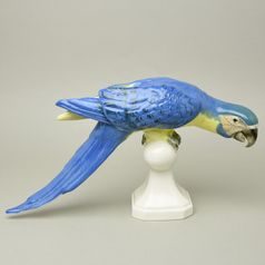 Papoušek 39 x 21 cm, Luxor, Porcelánové figurky Duchcov (2.j.)