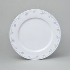 Plate dining 25 cm, Thun 1794 Carlsbad porcelain, OPAL 80215