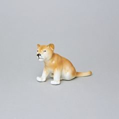 Lvíče 13 x 8 x 6 cm, Luxor, Porcelánové figurky Duchcov