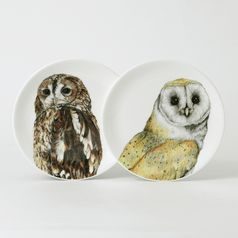 Sovy: Talíř dezertní 19 cm, anglický kostní porcelán Roy Kirkham