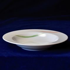 Plate deep 22 cm, Thun 1794 Carlsbad porcelain, LEON 29674