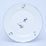 Plate dining 26 cm, Cesky porcelan a.s., Goose