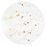 Liberty Christmas stars: Dinner plate 27,5 cm, Seltmann porcelain