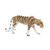 Bengal Tiger 86 x 175 mm, Crystal Gifts and Decoration PRECIOSA