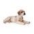 Dog - Pointer laying 16,5 x 8 cm, Royal Copenhagen porcelain figurines